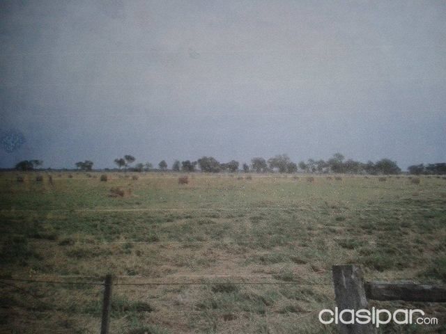 Vendo Estancia Formada 10.000 Hectáreas Sobre Ruta Bioceánica Que Une Brasil Con Chile En Boquerón. — foto 3
