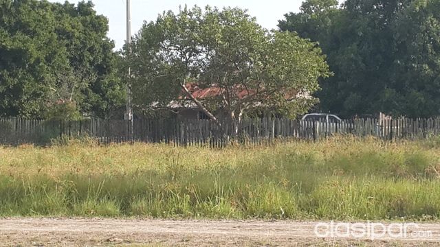 Vendo establecimiento ganadero — foto 3
