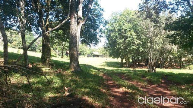 26 Has, En S An Rafael Del Parana Itapua — foto 2