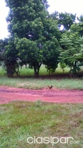 Vendo hermoso terreno en el km 12 Acaray, Ciudad del Este — foto 3