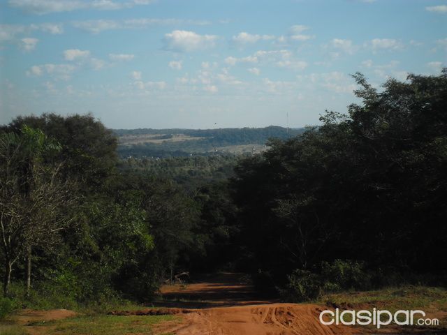 VENDO 28 HECTÁREAS EN CAACUPÉ — foto 2