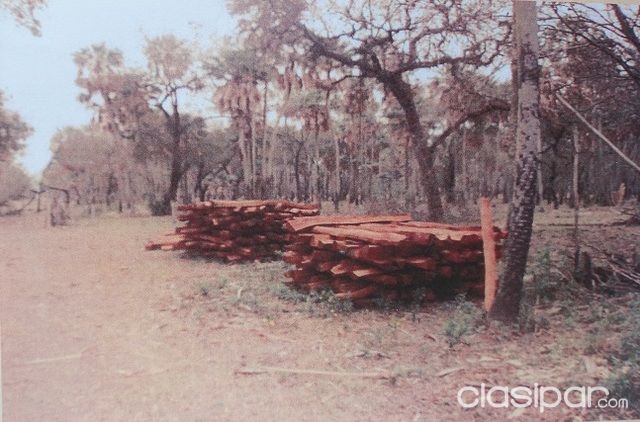 VENDO HERMOSA ESTANCIA SUPERFORMADA ZONA PDTE HAYES CON 12.100 HAS SOBRE RIO PARAGUAY — foto 2