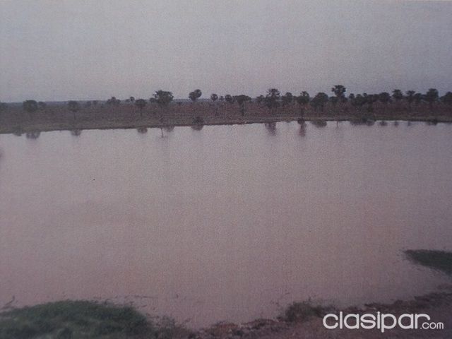 VENDO HERMOSA ESTANCIA SUPERFORMADA ZONA PDTE HAYES CON 12.100 HAS SOBRE RIO PARAGUAY — foto 3