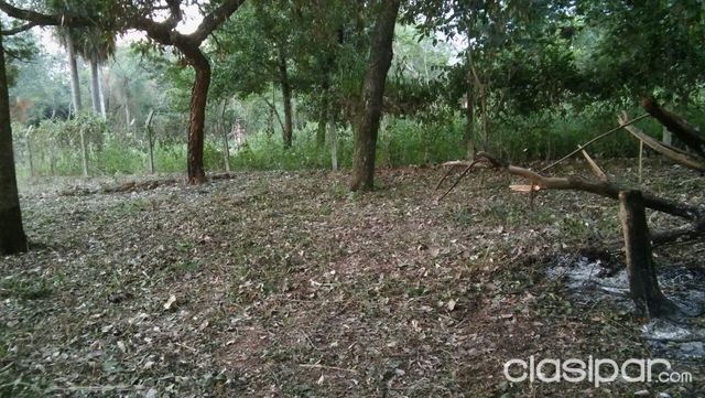 Vendo 2 Terrenos (De calle a Calle) a pasos del Centro de San Bernardino (Zona Copaco) — foto 3