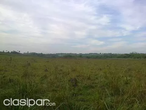 VENDO HERMOSA PROPIEDAD EN CURUGUATY 20 HA EN OFERTA.!! — foto 2