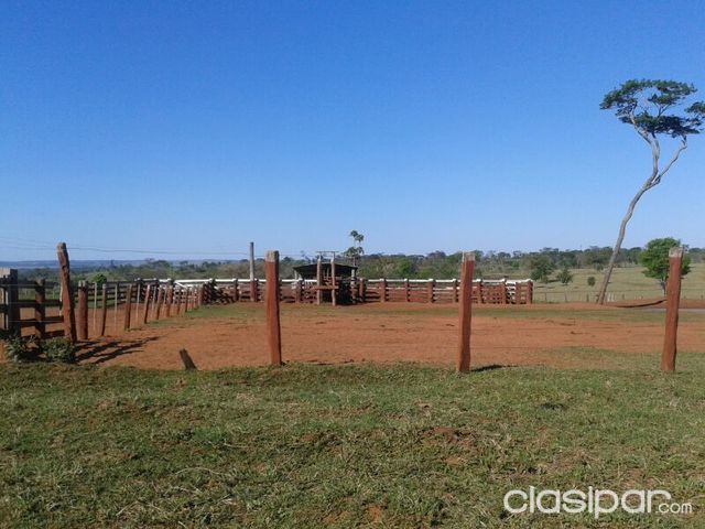 PROPIEDAD AGRICOLA GANADEIA DE 1RA EN CAINDEYU — foto 2