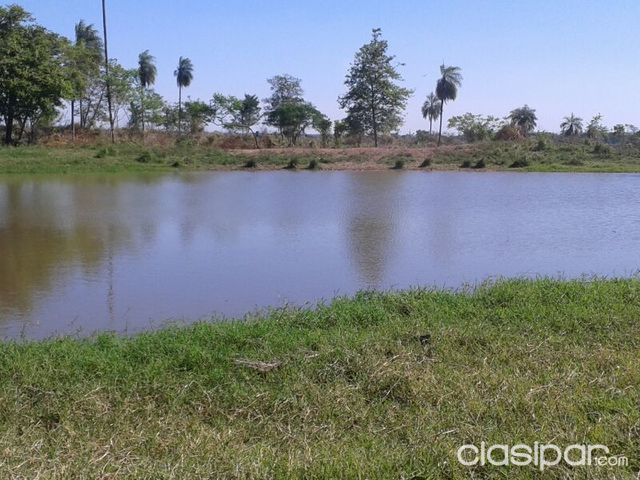 PROPIEDAD AGRICOLA GANADEIA DE 1RA EN CAINDEYU — foto 3