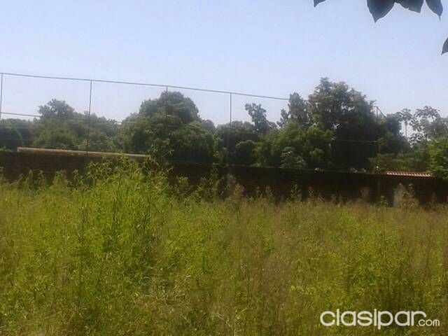 Esta Regalado... Vendo 3 Hermosos Terrenos 12x40 En Capiata. Zona Centrica.. Detras De La Cancha Silvio Pettirosi.. — foto 2