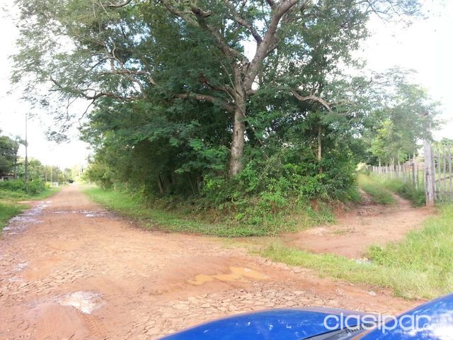 vendo 10 hectareas zona itaugua 250000 $ — foto 2