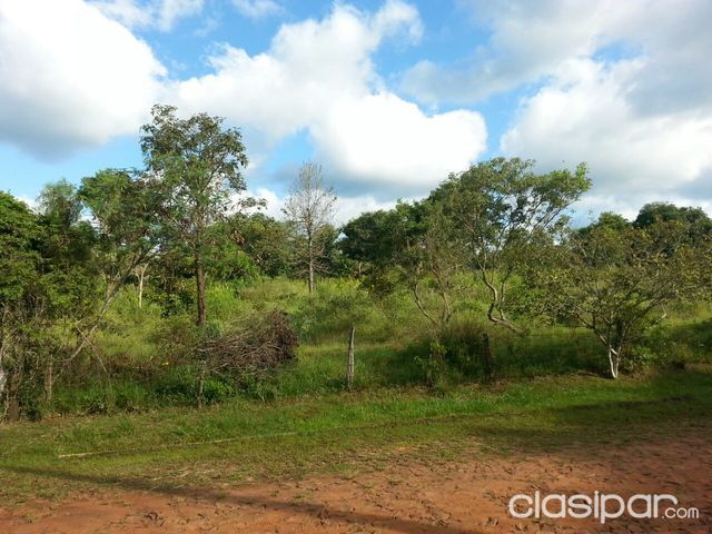 vendo 10 hectareas zona itaugua 250000 $ — foto 3
