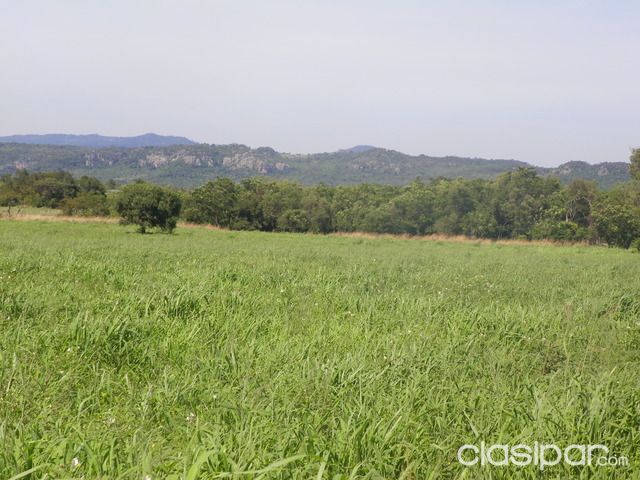 VENDO 110 HECTAREAS EN PARAGUARI — foto 3