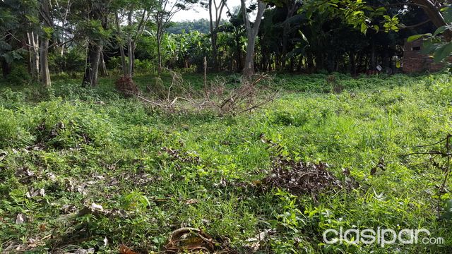 Vendo terreno de 25x100 m2 en Cabañas-Caacupe sobre ruta Gaudioso Nuñez, a 3km del centro de la ciudad. — foto 2