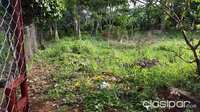 Vendo terreno de 25x100 m2 en Cabañas-Caacupe sobre ruta Gaudioso Nuñez, a 3km del centro de la ciudad. — foto 3