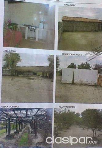 Remato Urgente — foto 2