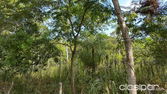 HERMOSO TERRENO OFERTA EN TARUMANDYLUQUE — foto 2