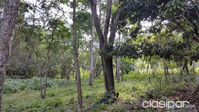 HERMOSO TERRENO OFERTA EN TARUMANDYLUQUE — foto 3