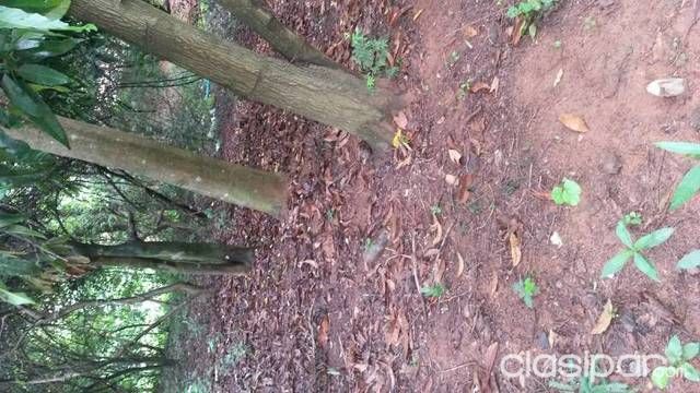 Vendo terreno titulado — foto 2