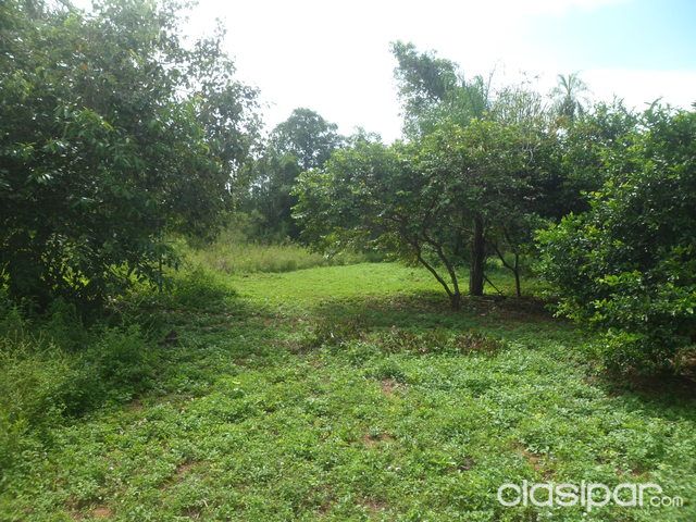 ¡¡¡VENDO HERMOSA PROPIEDAD DE 3HRAS.. EN EMBOSCADA TIERRA CULTIVABLE!!!!!!!! — foto 2