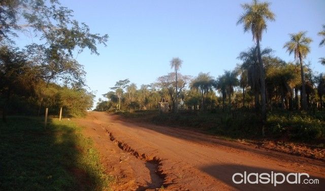 VENDO TERRENO EN YPANE — foto 2