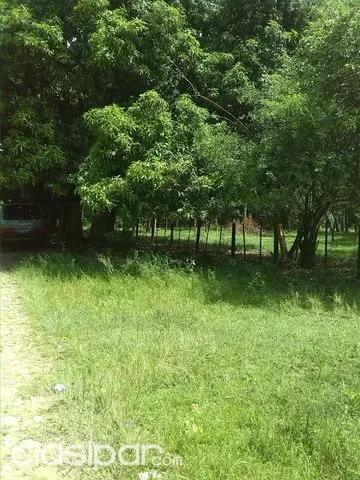 ATENCION!!!!!!!! vendo 3 hectareas en san bernardino — foto 2