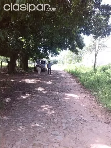 ATENCION!!!!!!!! vendo 3 hectareas en san bernardino — foto 3