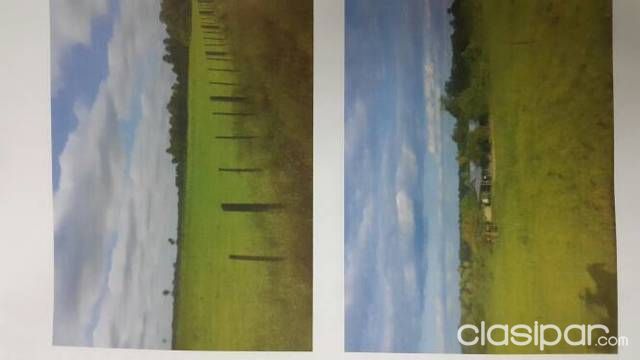 Única oportunidad de inversión — foto 2