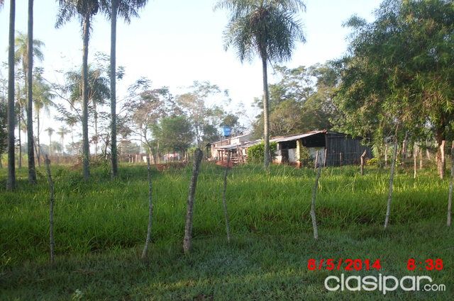 En Piribebuy vendo 10 Has totalmente Alambrada en Chololo — foto 2