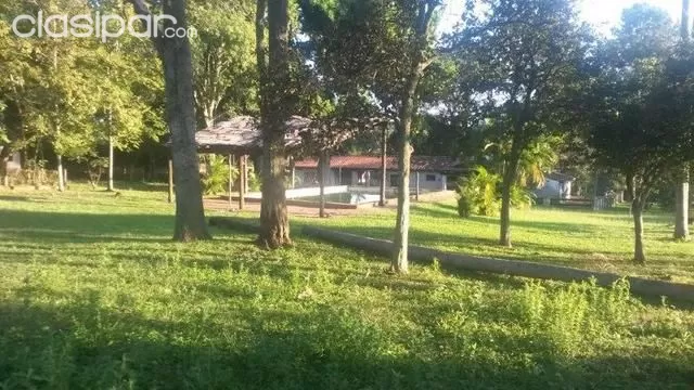 Quinta 5,2 hectáreas con todas las comodidades en Luque sobre asfalto. — foto 3