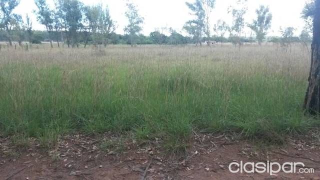 Vendo hermosos terrenos — foto 2