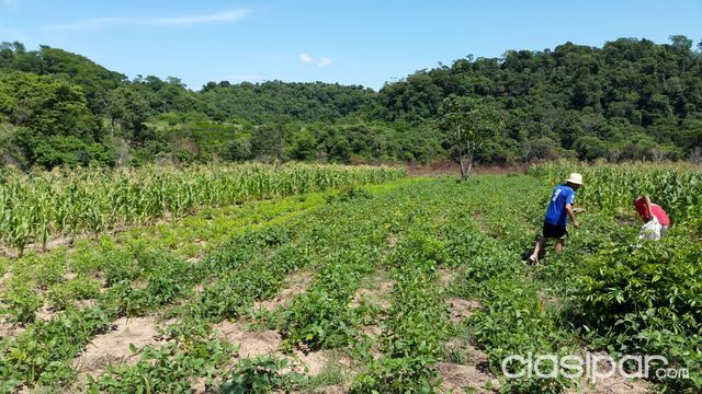 VENDO CAMPO EN TRINIDAD — foto 3