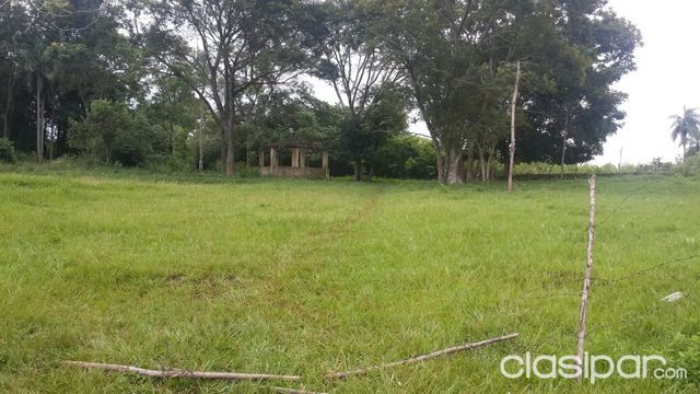 VENDO PRO PIEDAD DE 5795 M2 a 200 METROS DE LA RUTA ASFALTADA EN ARROYOS Y ESTEROS!!! — foto 2