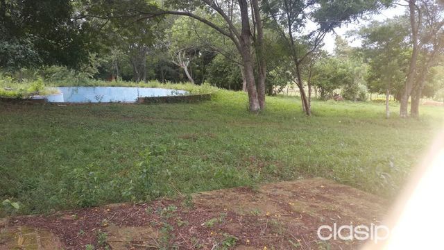 VENDO PRO PIEDAD DE 5795 M2 a 200 METROS DE LA RUTA ASFALTADA EN ARROYOS Y ESTEROS!!! — foto 3