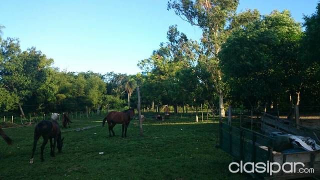 Vendo hermoso Establecimiento Ganadero en Tacuaras Ñeembucu — foto 2