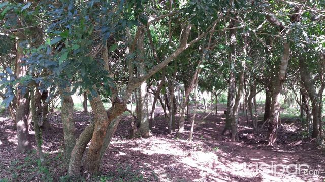 Terreno de 2.880 mts2. — foto 2