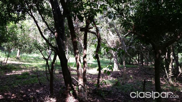 Terreno de 2.880 mts2. — foto 3