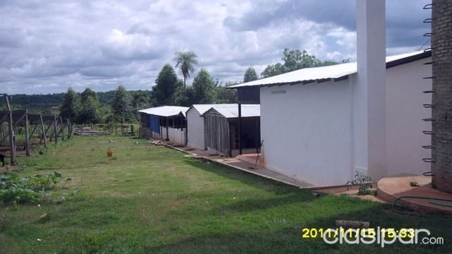 Vendo granja de 4 has en Coronel Oviedo — foto 3
