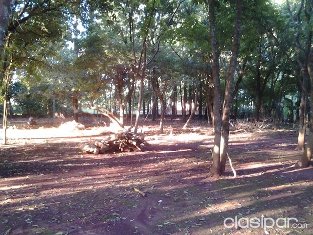 Hermosa Propiedad de 12.500 m2 — foto 3