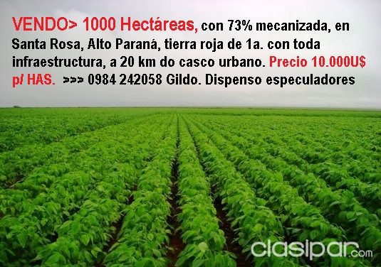 VENDO> CAMPO AGRÍCOLA, 1000 Hectáreas, con 73% mecaniz. Tierra roja de 1a, en Santa Rosa, Alto Paraná, a 20 km casco urbano — foto 2