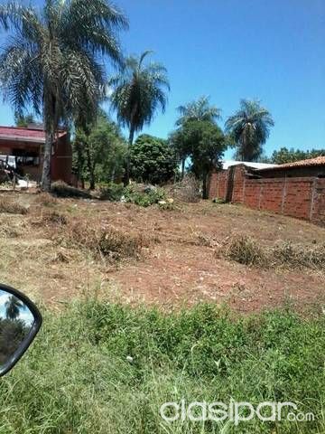 Zona itaugua — foto 2
