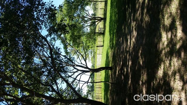 VendoAlquilo Campo en Pilar Ñeembucu — foto 2