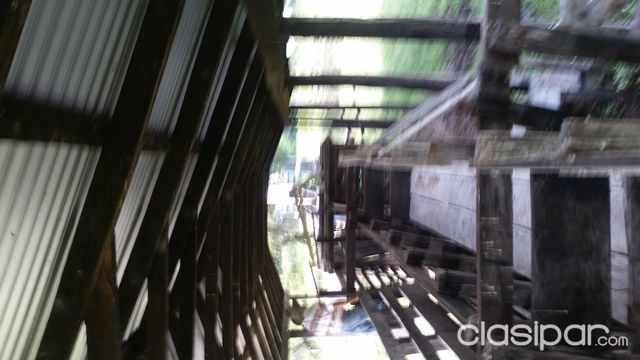 VendoAlquilo Campo en Pilar Ñeembucu — foto 3
