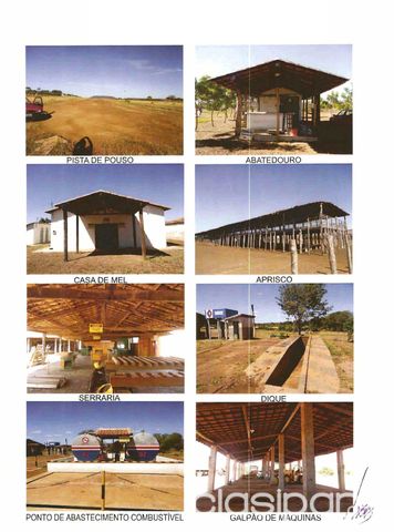 Estancia con 173.000 hectáreas en Piauí — foto 3
