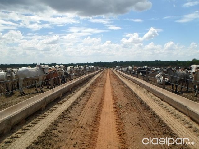 Estancias en Primavera do Leste - Mato Grosso — foto 2