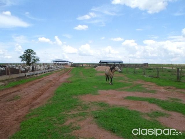Estancias en Primavera do Leste - Mato Grosso — foto 3