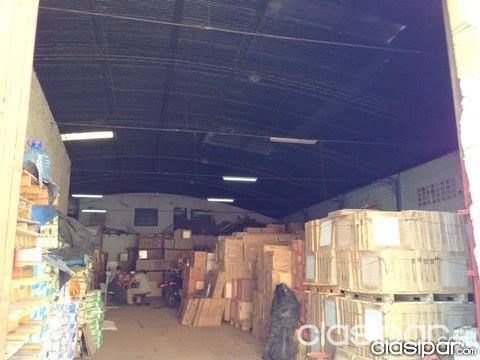 VENDO. TINGLADO A DOS CUADRAS DE EUSEBIO AYALA — foto 2