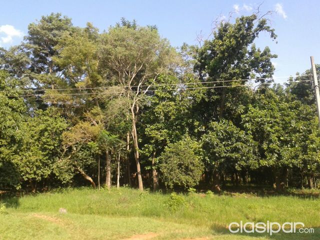 Terreno en Ypane — foto 2