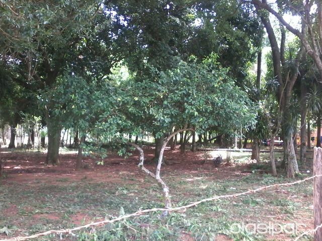 VENDO TERRENO EN ITAUGUA — foto 2
