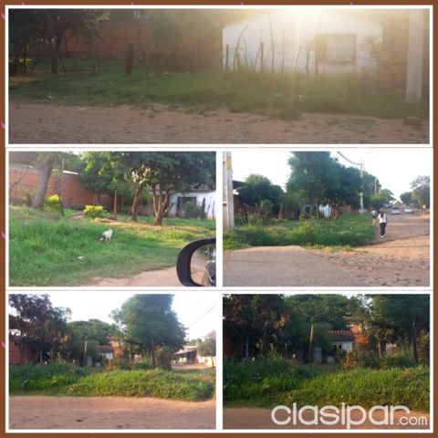vendo terreno ccon casita en luque — foto 2