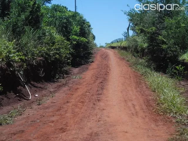 PROPIEDAD AGRICOLA GANADERA EN CAAZAPA TIERRA ROJA — foto 3