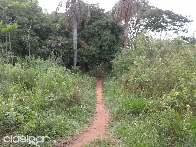 TERRENOS EN J. A. SALDIVAR DISTRITO DE ITA — foto 2